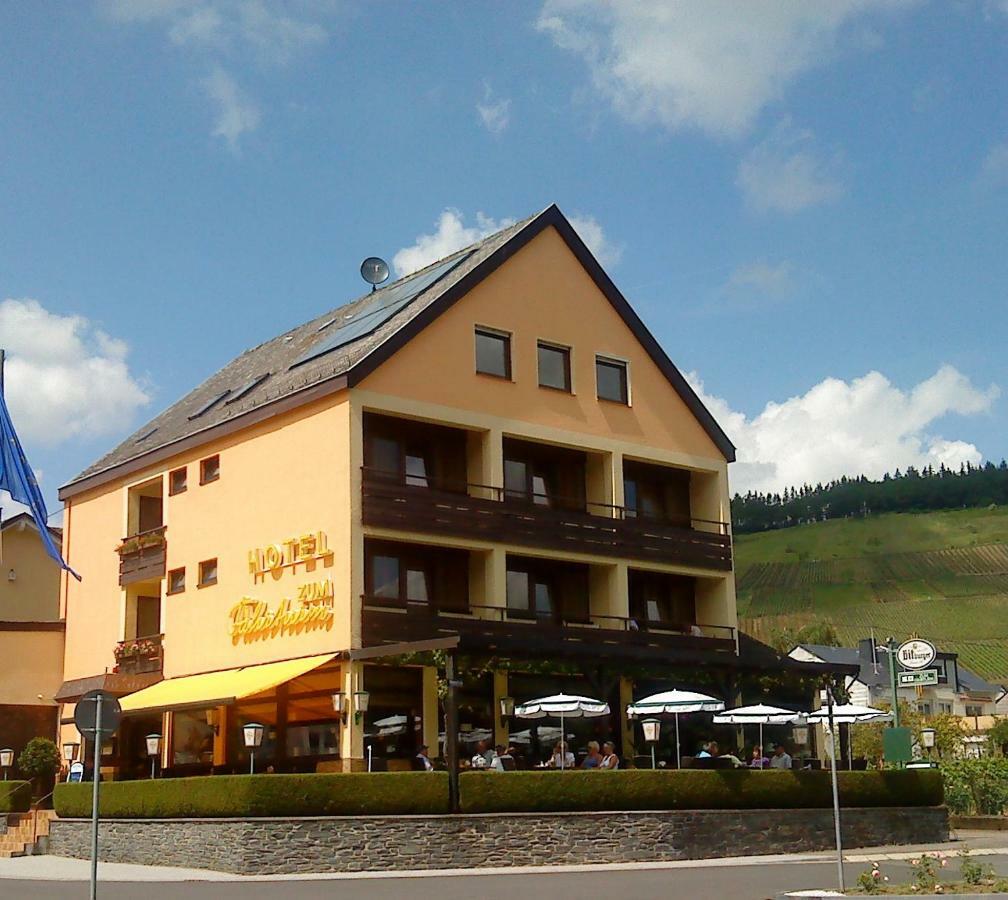 Hotel Zum Faehrturm Меринг Экстерьер фото